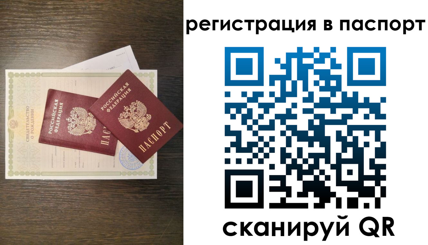 где прописаться в Ельне
