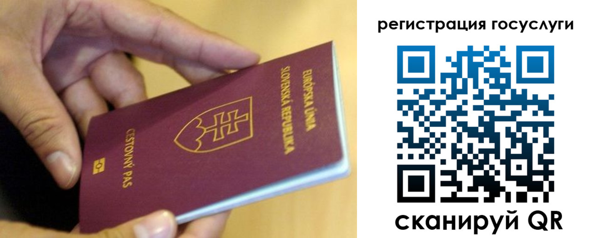 прописка в квартире в Ельне