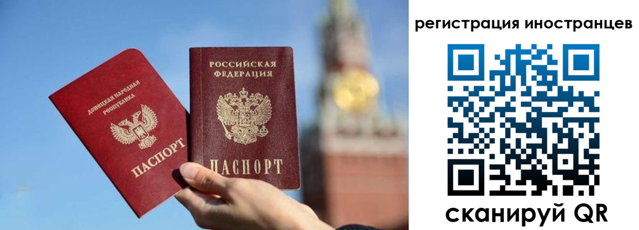 миграционный учет в Ельне